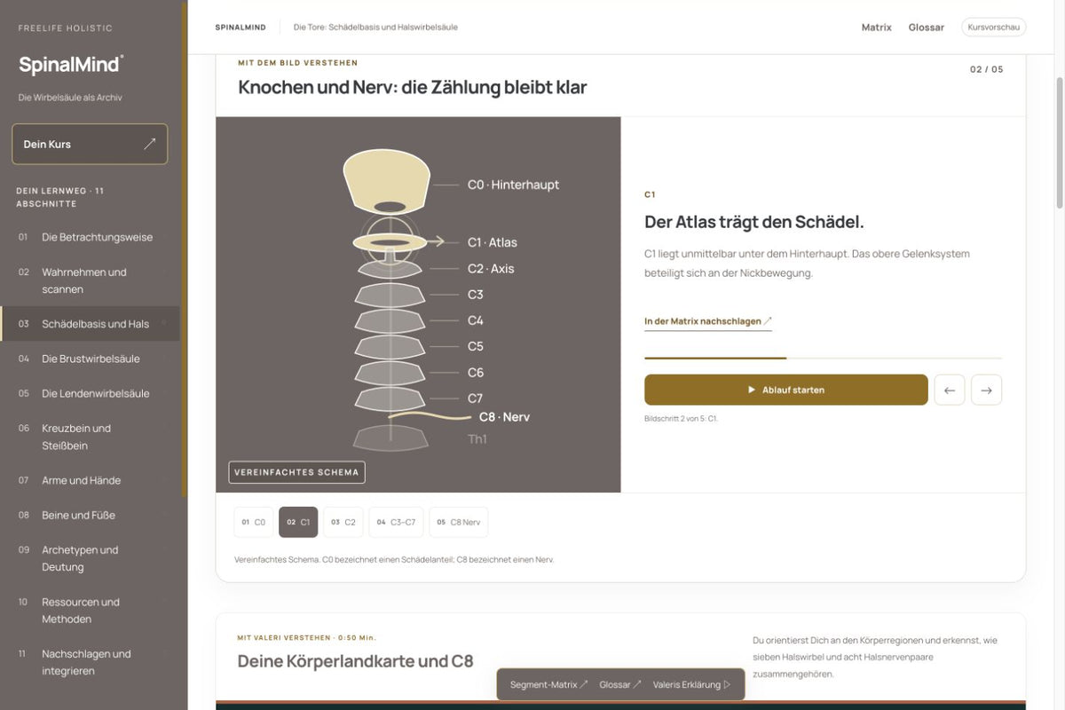 Einblick in einen Lernabschnitt des SpinalMind®-Buchkurses mit anatomischem Anschauungsbild, Erklärungen und Anwendung.