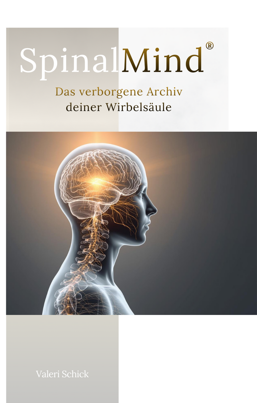 SpinalMind® - Das Buch – Buchcover