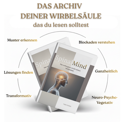 SpinalMind® - Das Buch – Buchcover